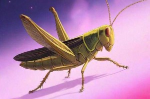 梦幻西游超级蝗虫图片高清 高清，蝗虫，超级