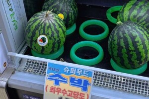 韩国西瓜价格暴涨引热议，韩国西瓜价格狂飙引担忧，天价背后谁之过？