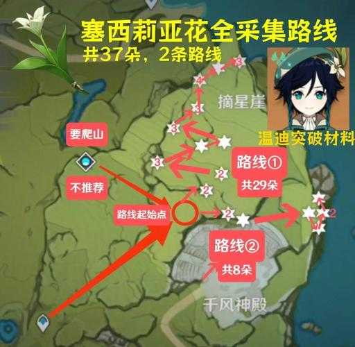 原神塞西莉娅苗圃四个精灵位置全收集攻略