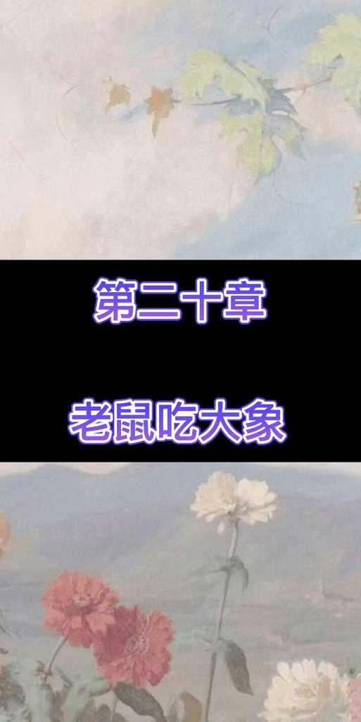 斗兽棋中象可以吃鼠吗_1
