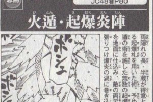火主火遁忍术实战应用与PVP／PVE策略