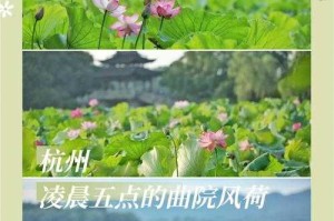 梦幻西游荷韵风景攻略大全 风景 荷叶 荷塘
