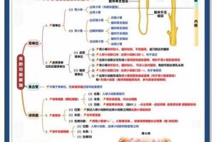 生理机制解析，生理机制解析，多维度调控网络与疾病关联性研究