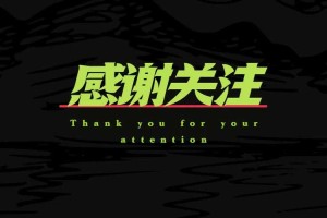 现象背景与公众关注，现象溯源与公众聚焦，社会动态的多维透视