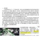 事件背景与时代意义，事件背景与时代意义，XXX的历史定位与当代启示