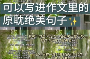 凡人如何验证不朽真伪？这4个实验方法