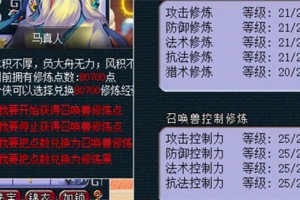梦幻西游转服牟利判刑 操作，游戏，西游