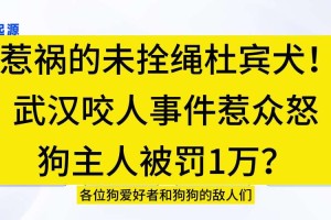 事件回顾，未拴绳的杜宾犬引发社区冲突，未拴绳杜宾犬激化社区矛盾暴露养犬管理漏洞