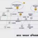 CFDafei：如何提升用户体验的价值？