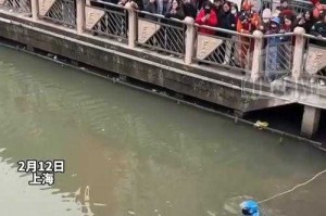 外卖小哥跳河救人的英雄事迹，风雨中的生命接力，暴雨中的生命接力，外卖骑手纵身跃河勇救落水者