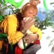 梦幻西游记滑板飞升攻略