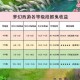 梦幻西游胆小妖虫多少钱