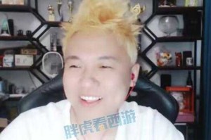 梦幻西游老魏视频