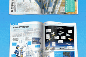 根据您提供的权威文献资料，以下是《DNF》2025版本的核心信息整合与分析：