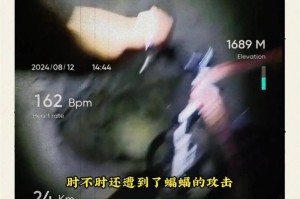 血色椰林，55岁骑行客独闯琼州万里的死亡之旅，血色椰林骑行客，55岁独闯琼州万里生死路