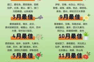 2025页游通关攻略：高效避坑与隐藏内容解锁
