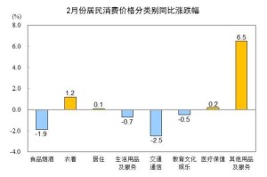 事件背景与消费规模，事件背景驱动下的消费规模演变与驱动因素分析