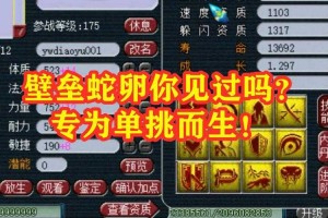 梦幻西游老王解谱攻略视频