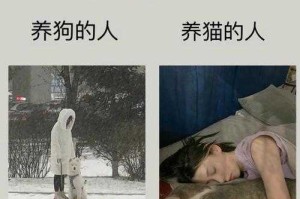 狗盆浇花竟遭狗咬？一场荒诞的人宠冲突揭示现代养宠隐忧，智能项圈误判触发警报？人宠科技冲突揭示养宠人机协作困境