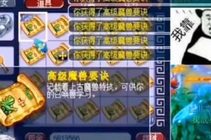 梦幻西游超级兽决最多的宝宝