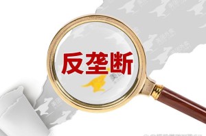 事件背景与核心争议，XX事件，背景解析与核心争议的博弈与启示