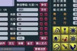 梦幻西游苦难辉煌亲妈怎么打 辉煌，亲妈 输出