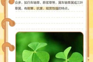 相差慧差三叶草是什么？解析三叶草的神秘差异