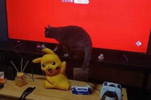 全球直播超萌猫咪打游戏爆红网络，网友疯狂围观