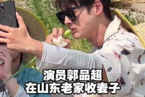 48岁郭品超回山东老家收麦子，乡愁与责任并存，48岁郭品超返乡收割麦浪，乡愁与担当共绘田园画卷