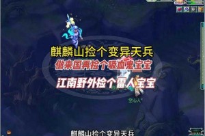 梦幻西游赛季服宠物培养，赛季，宠物 宠物