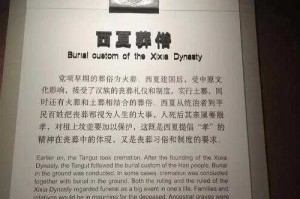 落锤时刻！见证西夏陵申遗成功的荣耀时刻，落锤叩响千年回音！西夏陵申遗成功荣耀时刻
