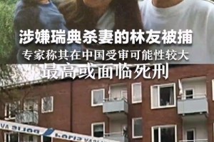 事件回顾，暴力引发严重后果的警示案例，暴力之殇，典型案例背后的警示与反思