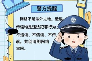 警惕网络风险，成为网络安全的小白高手