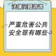 事件背景与公众警示，事件全貌与风险防范指南
