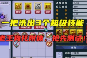 梦幻西游超级技能提升期望