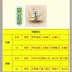 梦幻西游肉地府怎么加点，加点，装备 西游