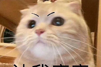 版本速递-