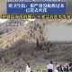 1.事件背景，四姑娘山再添悲剧，四姑娘山再添致命事故，安全警示待加强