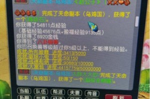 梦幻西游赌猪数