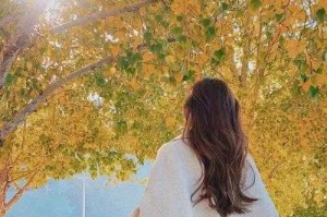 高清背影头像图片大全  精选唯美人物背影头像合集