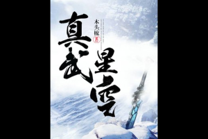 星空仙武：绝世武神在星空之巅的传奇征途
