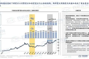 2025年dlidli影院：技术革新用户需求双驱动