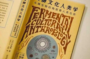 现象背景，争议事件的爆发与发酵，现象背景与争议发酵，从事件爆发到社会舆论的演变路径