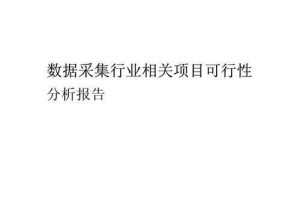（以下为基于数据的深度分析报告）