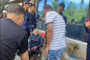 老人被蛇追咬持杖还击，一场惊心动魄的生命守护，老人持杖反击毒蛇追咬，惊险瞬间守护生命