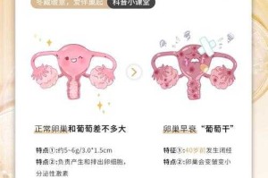 卵巢功能早衰的五大原因解析 - 遗传、免疫、环境全揭秘