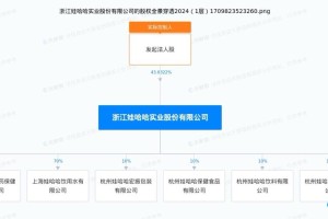 娃哈哈股权纠纷事件回顾，娃哈哈股权纠纷事件深度解析，从争议到和解的资本博弈之路