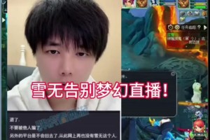 梦幻西游跟雪宝不能合照