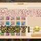 梦幻西游被集体盗号事件