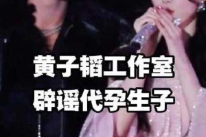 风暴中心，黄子韬代孕传闻的起源与发酵，风暴中心，黄子韬代孕传闻始末与舆论发酵全追踪